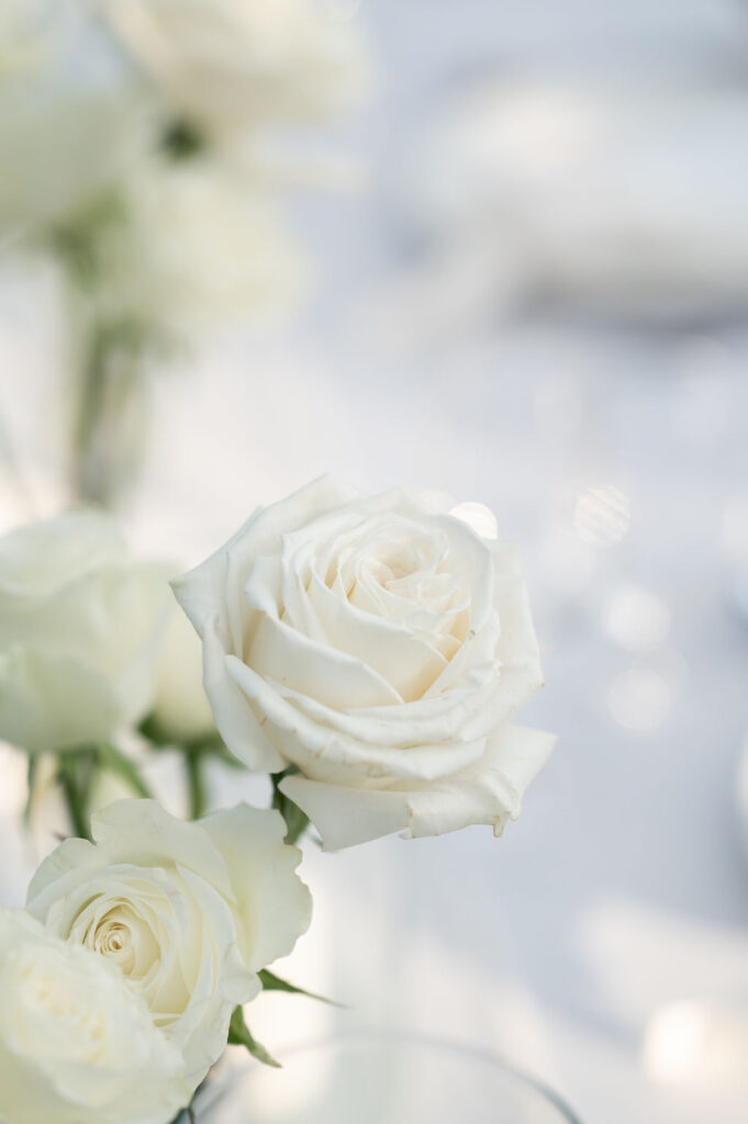 bella rose wedding photography budapest wedding planner blog stories 12 117